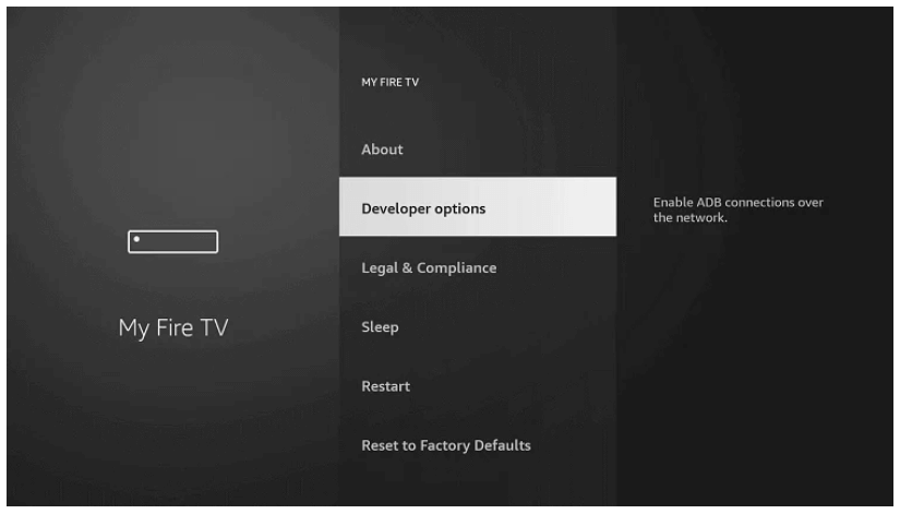 Select Developer Options